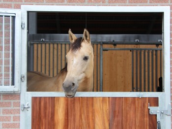 Reitstall Hucklenbroich Düsseldorf